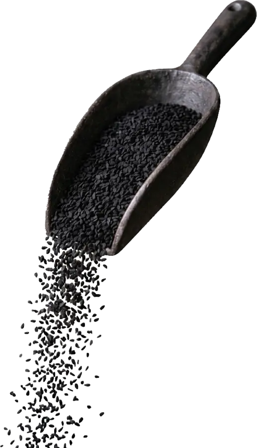Äthiopische Schwarzkümmelsamen